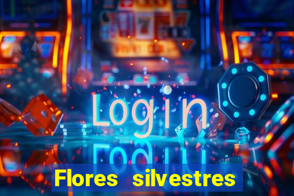 Flores silvestres brasileiras brasileiras flores silvestres nomes e imagens